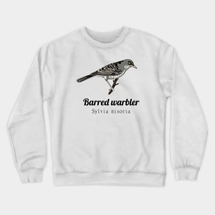 Barred Warbler Crewneck Sweatshirt